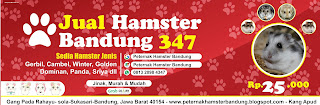 banner petshop toko hewan peliharaan hamster 