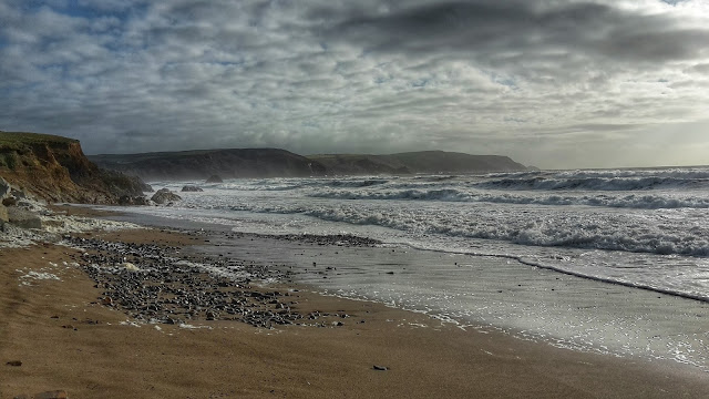 Project 366 2016 day 98 - Widemouth Bay // 76sunflowers