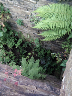 <img src="Wardle Tannery.jpeg" alt=" image of derelict mill in wardle, engine house" />