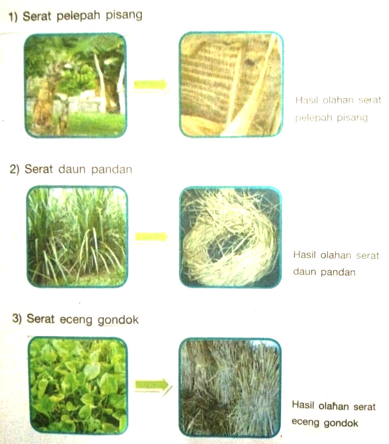 Pengolahan Bahan Serat  dan Proses Produksi Kerajinan  Bahan 