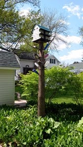20140518_142831[1]