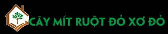 Cây Mít Ruột Đỏ Xơ Đỏ
