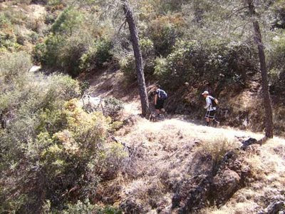 Watching Larry and Peter hike uphill