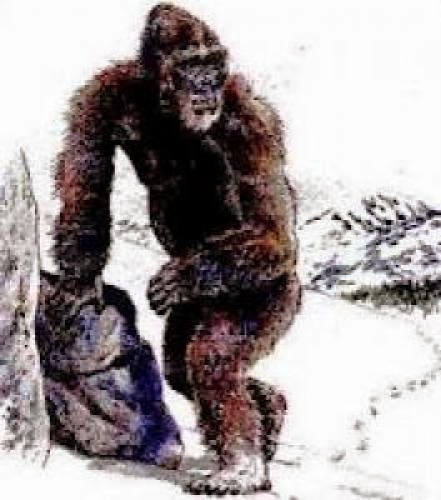 Fortean Alternative News Hunt For Siberian Yeti Strange Deaths And American Idol Ghost