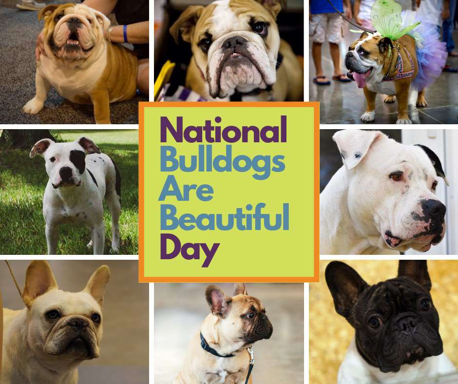 National Bulldogs Are Beautiful Day Wishes For Facebook