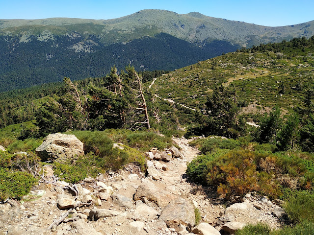 Subida al Peñalara . Techo de Madrid y Segovia. Parque Nacional de Guadarrama