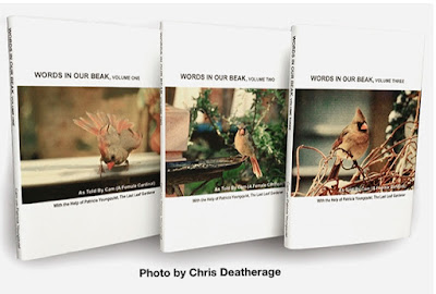 This image features my three volume book series,  "Words In Our Beak." Info is on my blog @ https://www.thelastleafgardener.com/2018/10/one-sheet-book-series-info.html