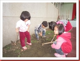 1020424蔬菜 046 (Custom)