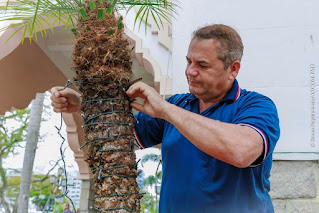 Teresópolis inicia os preparativos para a decoração de Natal