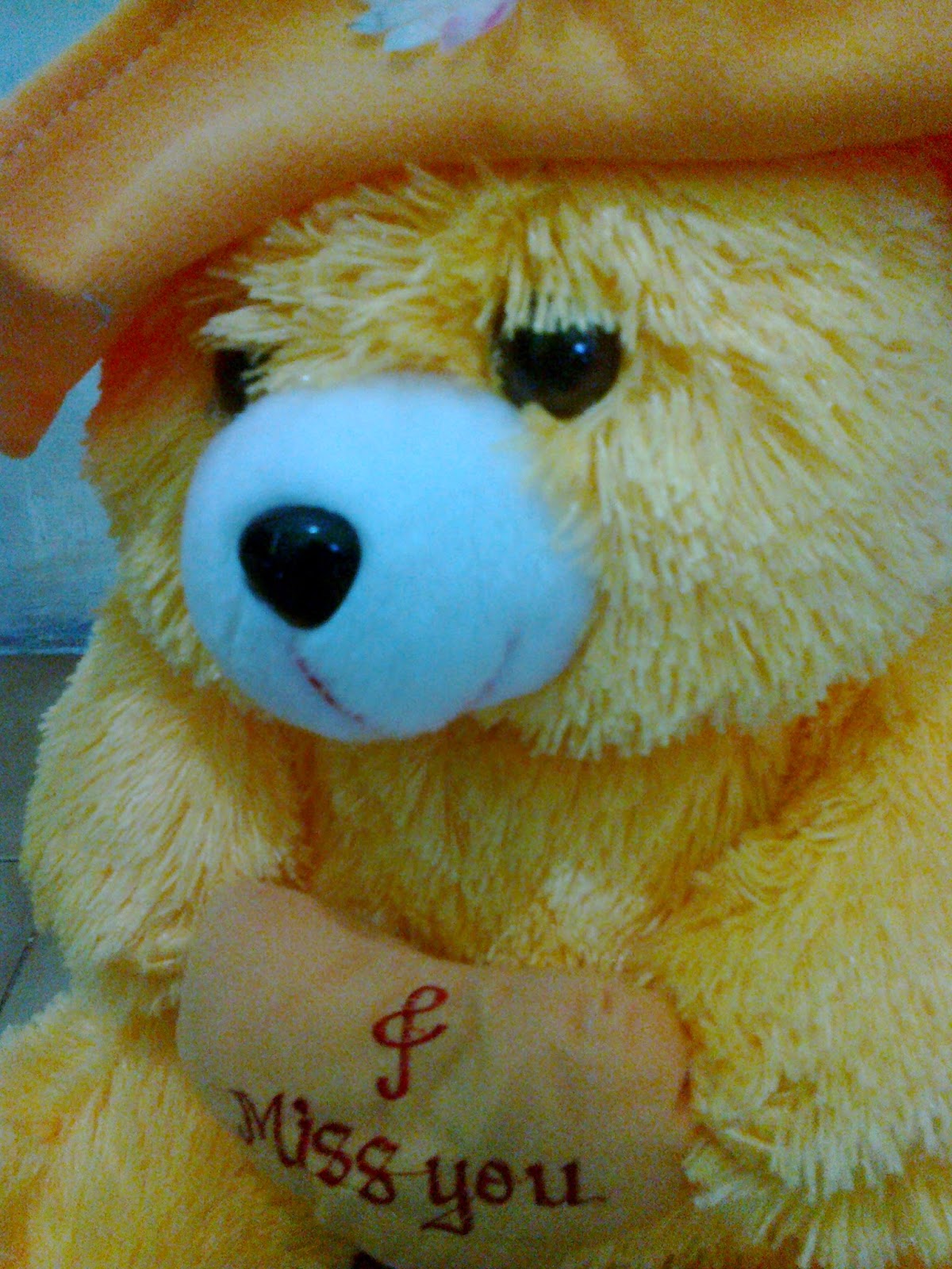 Kumpulan Gambar Boneka Teddy Bear Lucu Jumbo