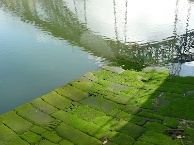 Os reflexos dos pensamentos