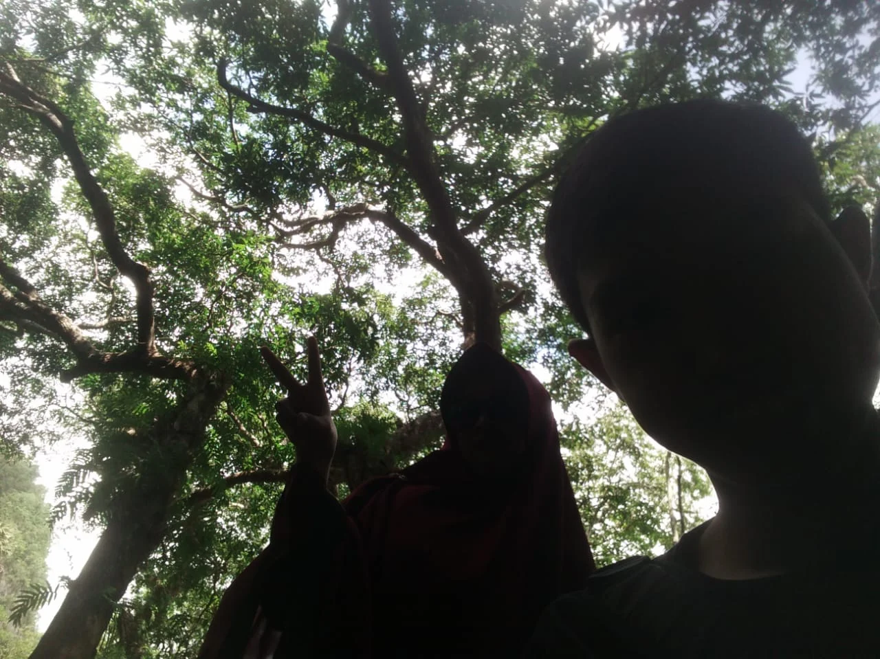 Leang-leang Maros