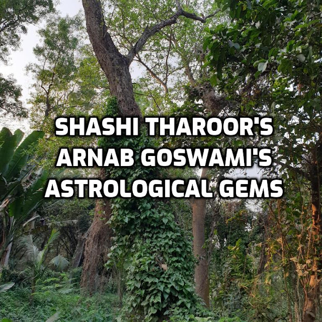 Shashi Tharoor & Arnab Goswami Wear Astrological Gems