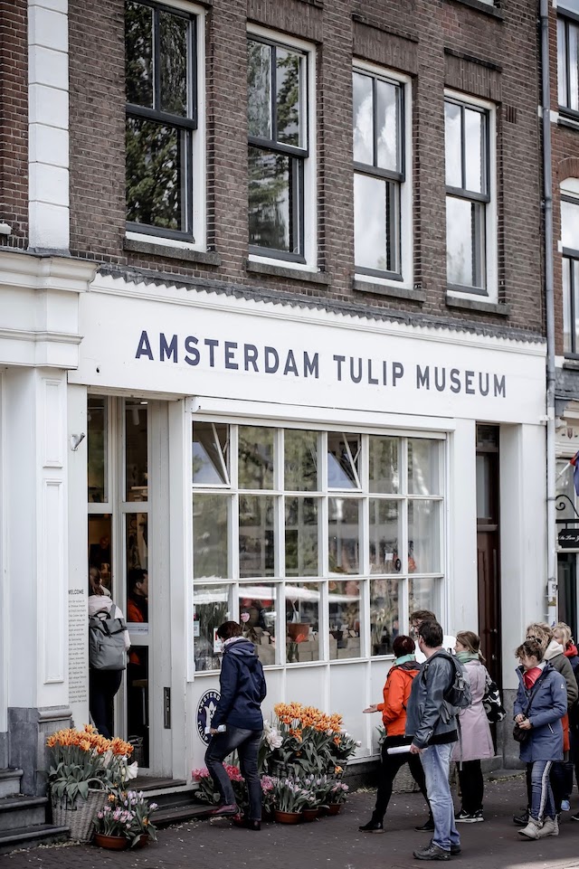 tulip museum