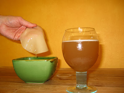 manfaat-teh-kombucha