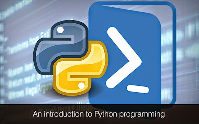 python application development