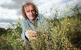 http://www.telegraph.co.uk/science/science-news/11014312/Genetically-modified-crops-QandA.html