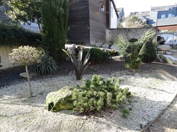 2018.02.04-003 le jardin du tripot