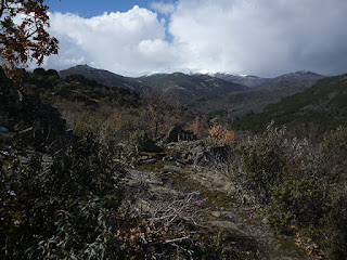 Pico del Lobo (2.274 m)