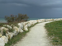 idée patine à l'île de ré