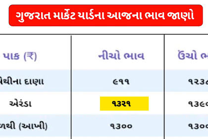 Gujarat Market Yard Daily Bhav Application 