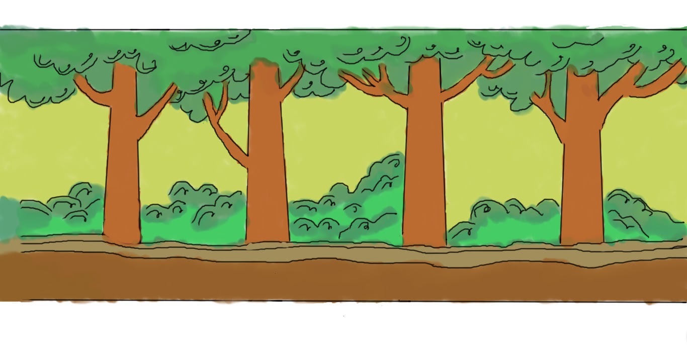 Download 90 Background Animasi Hutan Gratis Terbaik Download Background