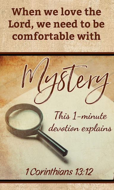 I used to wish I could fully understand God. I was uncomfortable with mystery. Then someone told me something that totally changed my point of view. This 1-minute devotion explains.