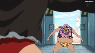 ワンピースアニメ ドレスローザ編 698話 セニョール・ピンク | ONE PIECE Episode 698