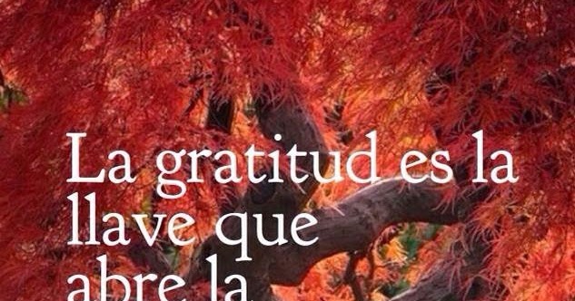 Frases Bonitas Para Facebook: Frases Sobre La Gratitud 
