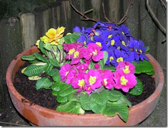 DSCN6545