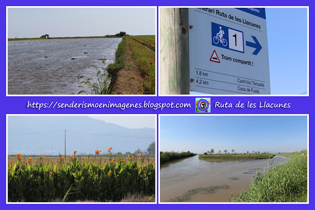 Delta de l'Ebre (Ruta de les Llacunes)