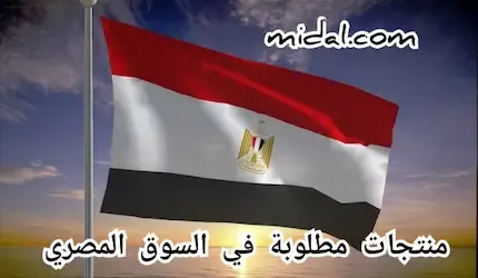 منتجات مطلوبة في السوق المصري