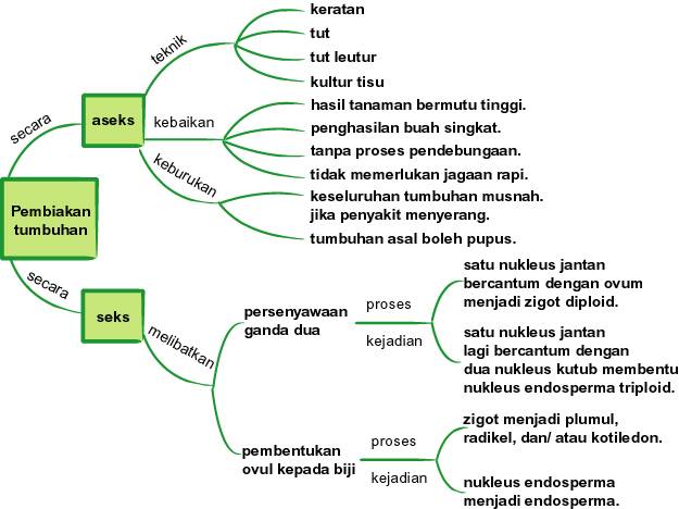 PERMATA ILMU ADIBKAYA DAN SENNAIQBAL: Pengurusan Grafik 