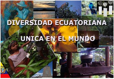 Cultura Tradiciones Y Folklore Del Ecuador Que Necesitas Para