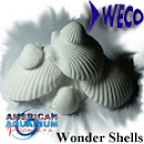 AAP Wonder Shells