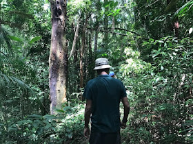 Tijuca Forest jeep tour