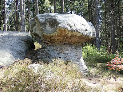 Sudety, Góry Stołowe, Białe Skały, Skała Puchacza, Skalne Grzyby