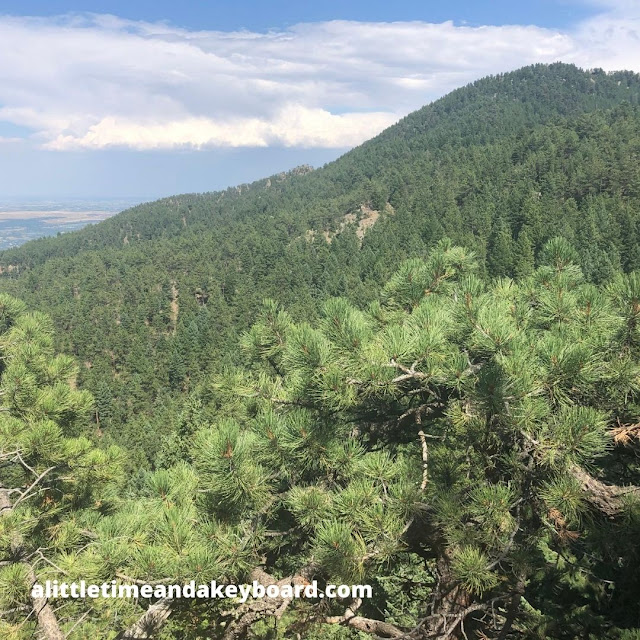 Hiking in the evergreen folds of Boulder's Green Mountain.