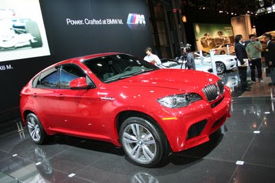 BMW X6 2010