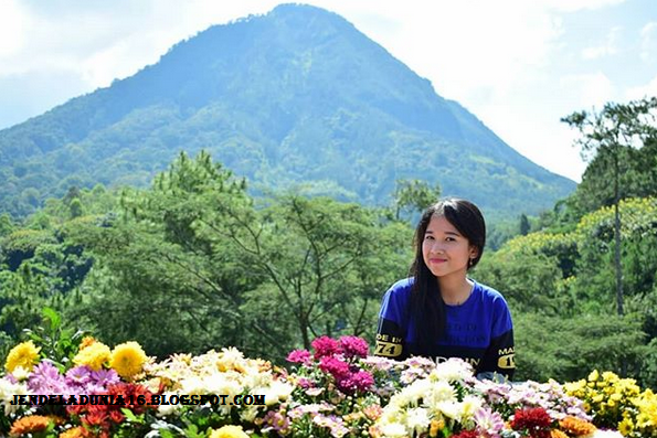 [http://FindWisata.blogspot.com] Batu Flower Garden, Objek Wisata Spot Foto Yang Unik Dan Menarik Bagi Wisatawan
