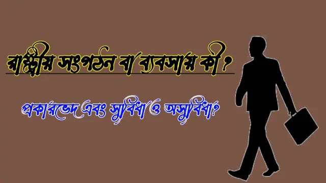 রাষ্ট্রীয় সংগঠন বা ব্যবসায় কী