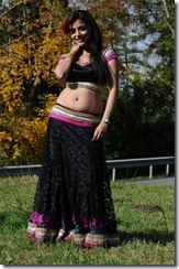 Nisha-Agarwal-Spicy-Photo_navel