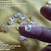 Mata cincin batu KALIMAYA BANTEN retak white opal ukuran kecil by. Kerajinan GEMSTONE dari www.makrifatbusiness.net