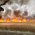 अज्ञात कारणों से लगी आग ने किसानों की कमर तोड़ी, हुआ लाखो का नुकसान