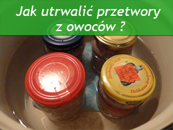 http://psprzelotem.blogspot.com/2015/09/dziko-rosnace-owoce-jadalne-w.html