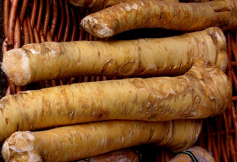 Horseradish Root Health Benefits