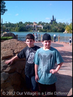 the wonder twins