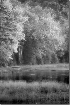 DSC_1169