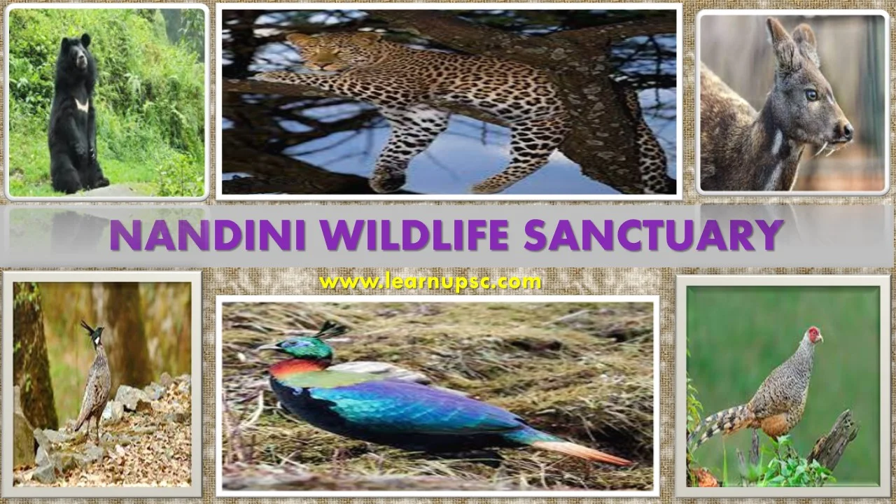 Nandini Wildlife Sanctuary