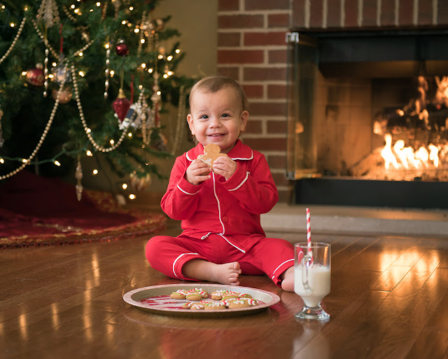 2022 Christmas Mini Session Professional Photographer DeKalb Sycamore IL